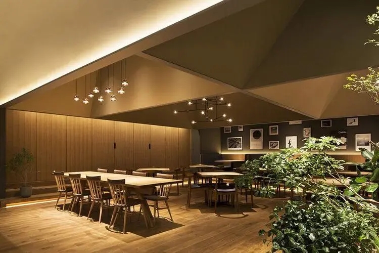 餐飲空間布局設(shè)計：打造高效與舒適的用餐環(huán)境
